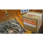 俵山温泉 浴用温泉水20リットル