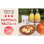 果汁飲料 りんご 那須果実の森かんそうりんごとりんごジュ…