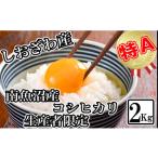 ふるさと納税 米 コシ
