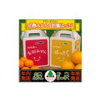 ふるさと納税 果物類 みかん 和歌山県 有田川町 《みかんは年内発送》定期便 手さげ箱 セット 完熟早生 有田みかん & はっさく 全2回 南泰園