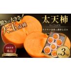 果物類 柿 太天柿 秀品 約3kg