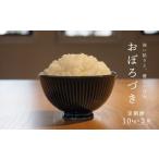 ふるさと納税 米 北海道 当麻町 令和7年産先行受付 長谷川農園おぼろづき10kg(3回コース) 定期便