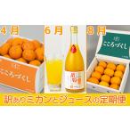 果物類 みかん 定期便 訳ありミカンとジュース