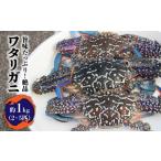 カニ 五島産 幻の天然ワタリガニ 1kg