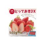 ふるさと納税 いちご 鳥取県 鳥取市 とっておきDX 500g 鳥取いちご とみハウス