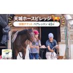 体験チケット 体験 伊豆 乗馬 ペアレッスン45分