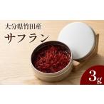 加工品等 竹田産サフラン 3g