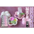 fu.... налог японские сладости твердые конфетки рагуган * сухие кондитерские изделия Ishikawa префектура .. город удача ..10 штук . сухие кондитерские изделия японские сладости в середине ... сосна бамбук слива гора море . гурман сладости кондитерские изделия еда . земля производство закуска чай ....