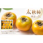 果物類 柿 太秋柿 かき 秀品 約5kg