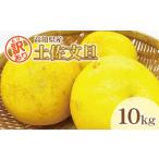 ふるさと納税 みかん・柑橘類 高知県 土佐市 数量限定 訳あり 土佐文旦（ぶんたん）家庭用（M〜5L）約10kg 文旦 10キロ 土佐文旦発祥の地 産地直送 約10〜30玉…