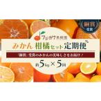 みかん 柑橘類 定期便 5回 柑橘セット 頒布会