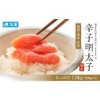 魚貝類 明太子 博多まるきた 訳あり 切れ子