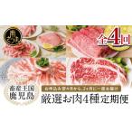 牛肉 ステーキ 定期便 畜産王国 鹿児島の厳選