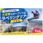 体験チケット 大岩壁をロープで下る ラペリングツアー体験券