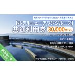 宿泊券 ホテルニューアワジグループ 内施設