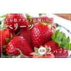 ふるさと納税 いちご 大分県 豊後高田市 先行予約 大分県ブランドいちごベリーツ大粒(280g×2パック)