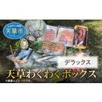 旬の鮮魚等 S059-010_天草わくわくボックスデラックス
