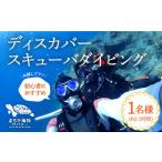 イベントやチケット等 体験ダイビング Discover