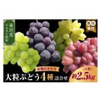 ふるさと納税 果物類 ぶどう 山形県 米沢市 《 先行予約 数量限定 》 令和7年産 大粒 ぶどう 詰合せ 4種類 約 2.5kg 4房 ( 品種おまかせ ) 〔 9月中旬 〜 下旬…
