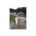 fu.... налог body . билет Okayama префектура .. блок здоровье ..... эффект . есть каждый верховая езда . можно наслаждаться скидка лошадь бесплатный талон _S55