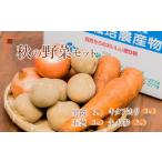 野菜類 じゃがいも 秋の野菜4品セット 計10kg
