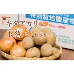 野菜類 じゃがいも たまねぎ 10kg