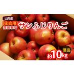 ふるさと納税 りんご 山形県 山形市 家庭用 無袋栽培ふじりんご 優品 約10kg入り りんご リンゴ 林檎 フルーツ 果物 くだもの 10キロ 送料無料 山形 FY25-901