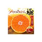 ふるさと納税 果物類 みかん 愛媛県 八幡浜市 甘みが濃縮されたみかん 愛媛で育った夕やけみかん 極 5kg C49-8 1243461
