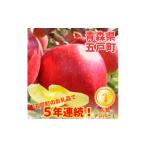 ふるさと納税 りんご 青森県 五戸町 青森ごのへ産 味に自信 りんご サンふじ 約5kg 1034082