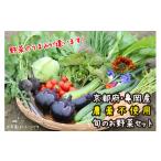 セット 詰合せ 12回定期便 亀岡産 自然農法&農薬を使わずに…