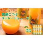 果汁飲料 みかん みかんジュース 南伊勢の