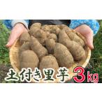 人参 大根 他根菜 予定 土付き 里芋 約3kg