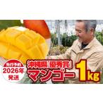ショッピングふるさと納税 マンゴー ふるさと納税 マンゴー 沖縄県 南風原町  2026年発送 芳醇な香り　とろける食感　沖縄県「優秀賞」マンゴー1kg