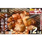ふるさと納税 牛肉 ホルモン 鹿児島県 阿久根市 選べる2種 国産牛ホルモン2種セット(合計2kg) 国産 特産品 牛 小腸 味付 パック 詰め合わせ 詰合せ 炒め物 鍋…