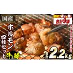 豚肉 ホルモン \テレビで紹介されました 2種
