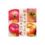 ふるさと納税 りんご 青森県 五戸町 青森ごのへ産 家庭用 りんご サンふじ 約10kg(訳アリ) 1122681