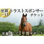イベントやチケット等 y241 馬主のいない馬を助けたい