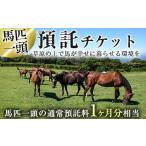 イベントやチケット等 y240 預託チケット