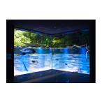 fu.... налог входной билет * пригласительный билет префектура Kanagawa город Kawasaki кожа acid Kawasaki аквариум пара билет 