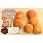 焼菓子 チョコレート マドレーヌ 新鮮卵のはちみつマドレー…