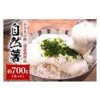 人参 大根 他根菜 伊藤農園の自然薯カット 約700g
