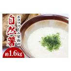 人参 大根 他根菜 エコファーム星山の自然薯 1.6kg