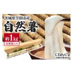 笠間自然薯研究会の自然薯カット 約1kg