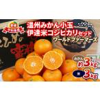 果物類 みかん 11月~ 予定 3kg