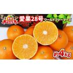 ふるさと納税 果物類 みかん 愛媛県 宇和島市 愛果28号 4kg ワールドファーマーズ 先行予約 愛媛蜜柑 愛媛ミカン 愛媛みかん 高級みかん 高級 ブランド 限定 …