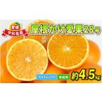 果物類 愛果28号 紅まどんな と同品種 4.5kg