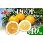 ふるさと納税 みかん�