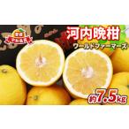 ふるさと納税 みかん�