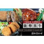 肉 ハンバーグ 能勢黒牛 コロッケ ミンチカツ
