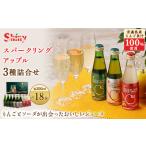 ふるさと納税 果汁飲料 りんご 青森県 黒石市 シャイニーアップルジュース スパークリングアップル詰合せセット 200ml×18本 1107754